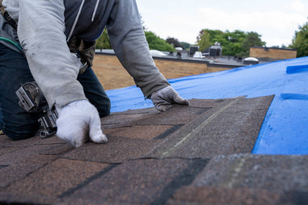 Best Roof Gutter Cleaning  in Fairfield, CA